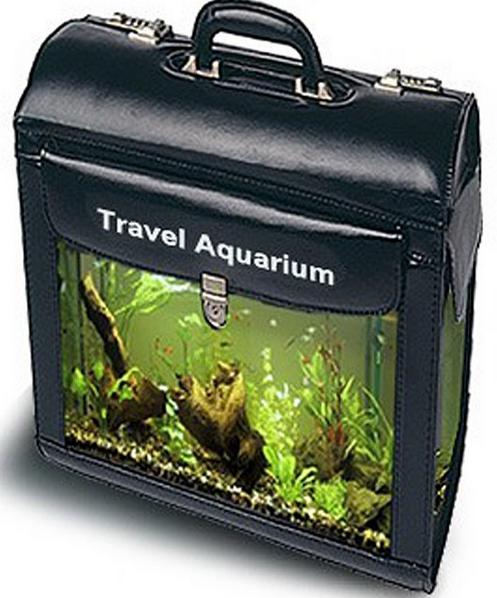 Soubor:Cestovni akvarium.JPG