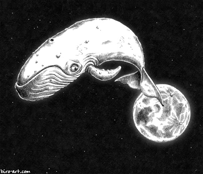 Soubor:Měsíční velryba.jpg