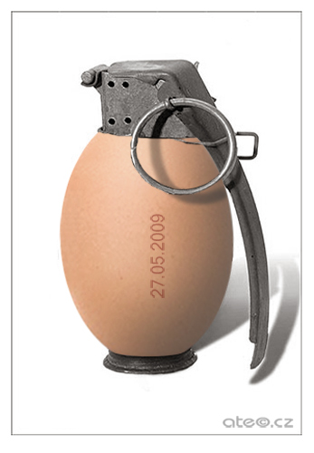 Soubor:Egg.jpg