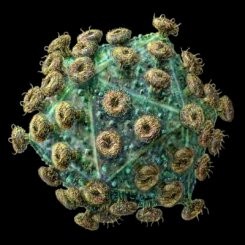 Soubor:Retrovirus.jpg