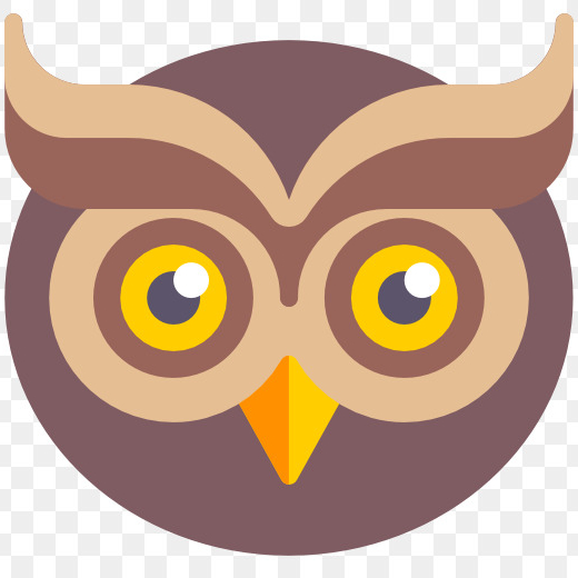 Soubor:Owl-icon.jpg