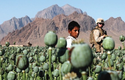 Soubor:Afghanistan opium.jpg