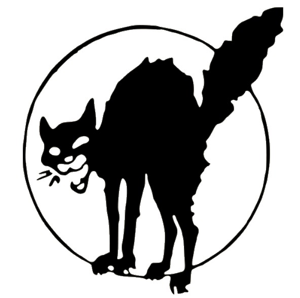 Soubor:Anarchist back cat.jpg