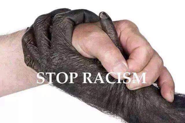 Soubor:STOP racism.jpg