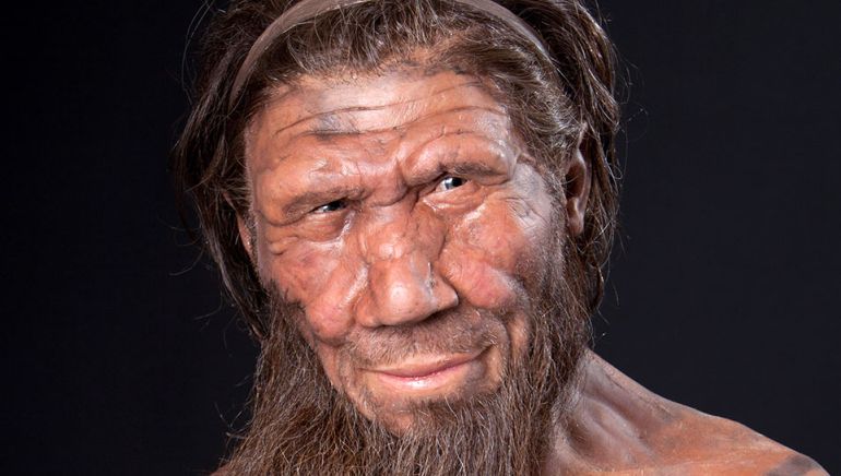 Soubor:Neanderthal-male.jpg