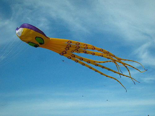 Soubor:Balonek ve tvaru chobotnice.jpg
