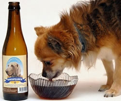 Soubor:Dog beer.jpg