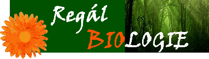 Soubor:Regál Biologie pravá2.gif