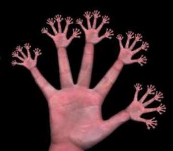 Fraktal-ruka.jpg