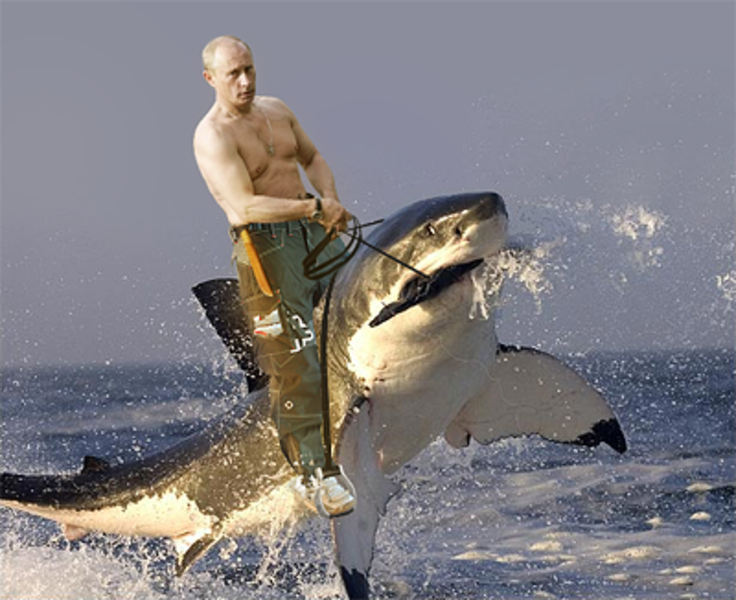 Soubor:Putin na žraloku.png