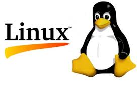 Soubor:Linux.jpg