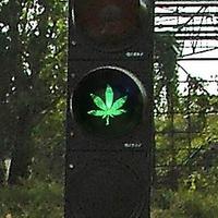 Soubor:Marihuanovy-semafor-cierna-voda.jpg
