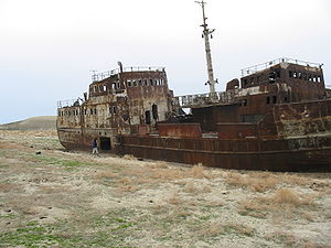Soubor:Aralsko.jpg
