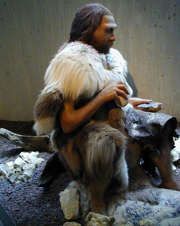 Soubor:Neandertal.jpg