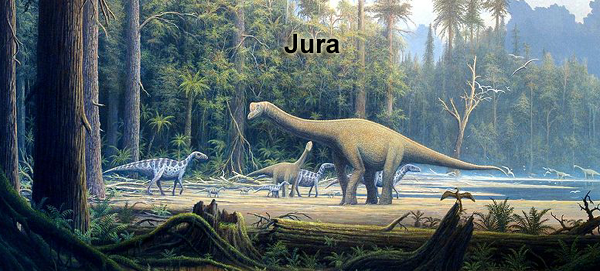 Soubor:Europasaurus holgeri Scene.png