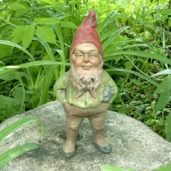 Soubor:Gnome.JPG