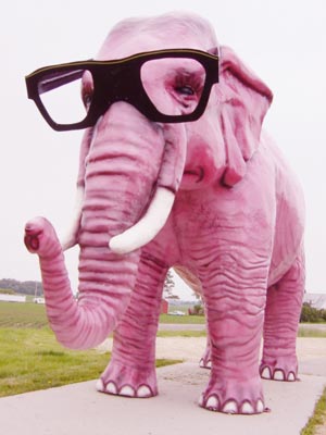 Soubor:Růžový slon.jpg