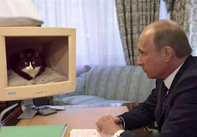 Soubor:PutinTV.jpg