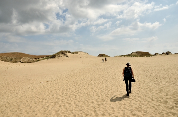 Soubor:Curonian-spit-sand-dune 01.jpg