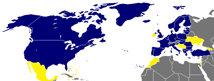 Soubor:Map of NATO.png