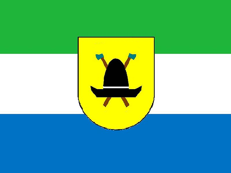 Soubor:Wallachian Kingdom flag.png