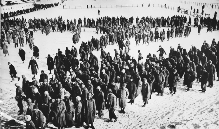 Soubor:Němečtí zajatci u Stalingradu.jpg