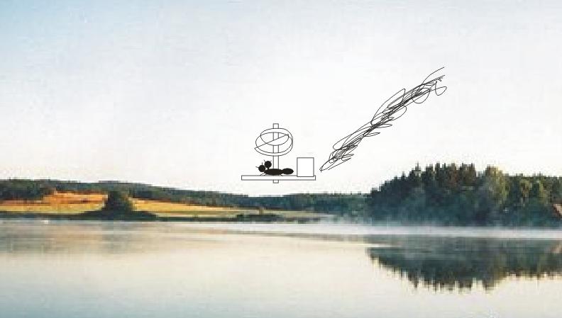 Soubor:Mravenci helicoptera.jpg