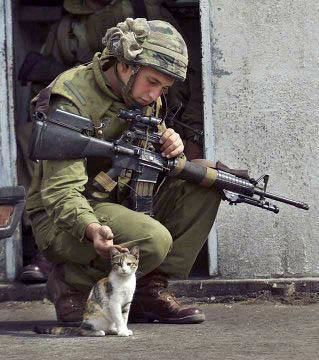 Soubor:Soldier with kitten.jpg