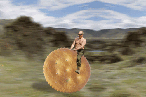 Soubor:Putin na sušence.jpg