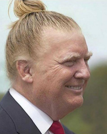 Soubor:Donald Trump a jeho vlasy 5.jpeg