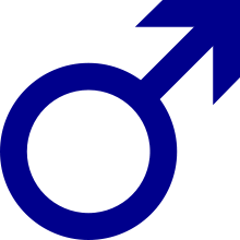 Soubor:Male gender icon.png