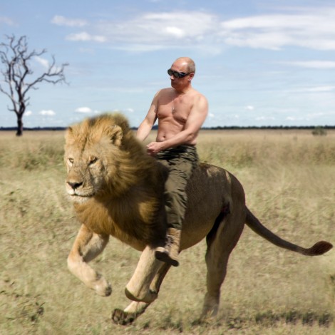 Soubor:Putin na lvu.jpg