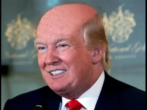 Soubor:Donald Trump a jeho vlasy 7.jpeg