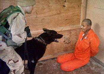 Soubor:Guantanamo canisterapie.jpg