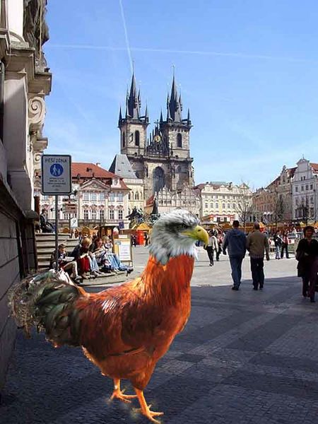 Soubor:Orel v Praze.jpg