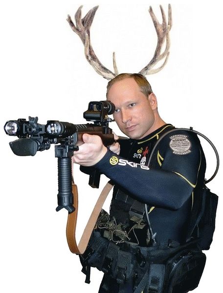 Soubor:Breivik-parohy.jpg