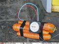 Carrot-erists.jpg
