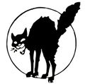 Anarchist back cat.jpg