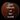 Album last sounds of the world.jpeg