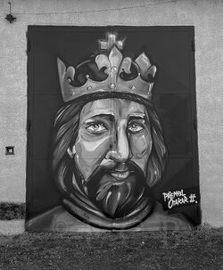 Přemysl otakar II.jpeg