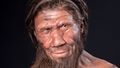 Neanderthal-male.jpg