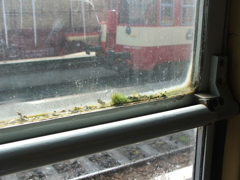 Soubor:Okno vlaku.jpg