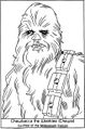 Chewbacca-the-Wookiee-Chewie.jpg