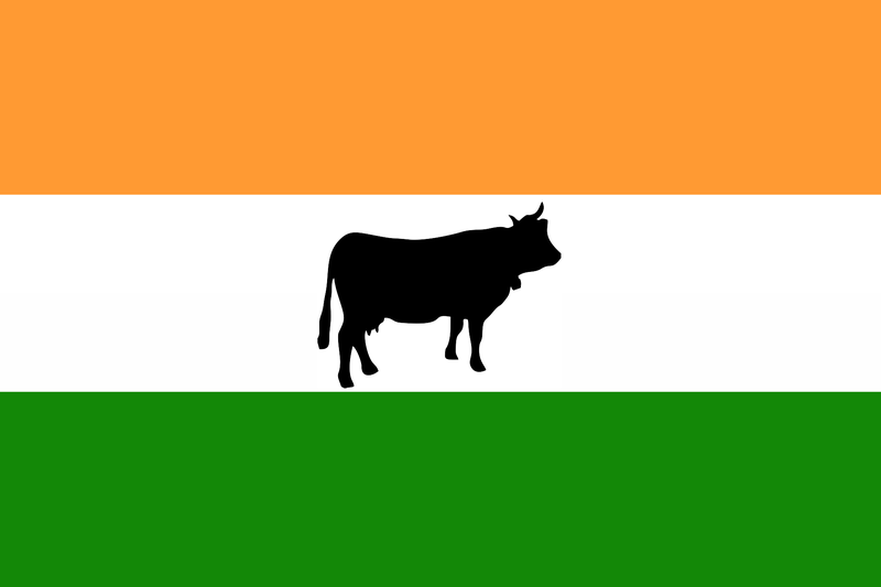 Soubor:India flag.png