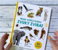 Náhled verze z 28. 6. 2025, 10:54