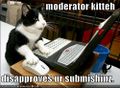Moderator kitteh.jpg