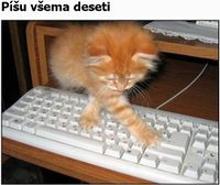 Již malé kočky dobře píší na PC