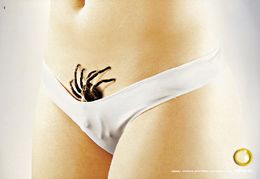 Kalhotky s živým pavoukem.