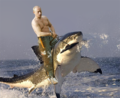 Putin na žraloku.png