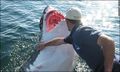 Dospělý žraločí samec si troufne i na menší rybářskou bárku